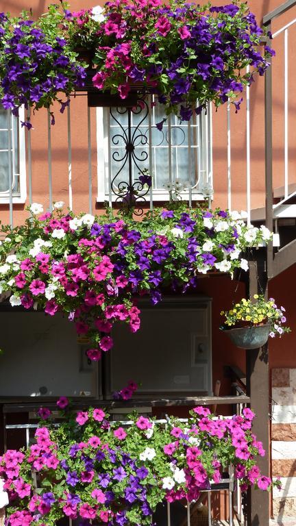 Hotel Baitone - Nature Village Malcesine Exterior foto